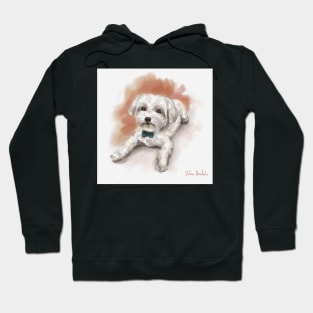 Cute Watercolor Drawing of Maltese, Orange Background Hoodie